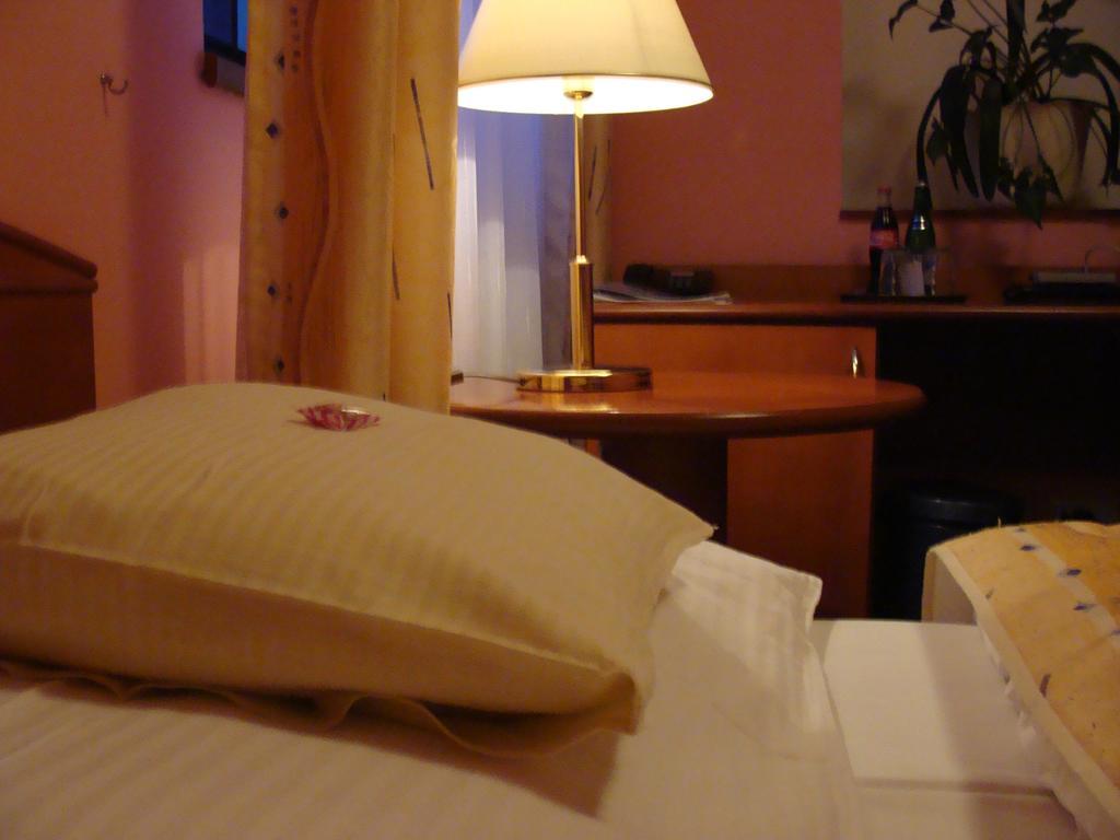 Anna Spa & Wellness Hotel Nejdek Værelse billede