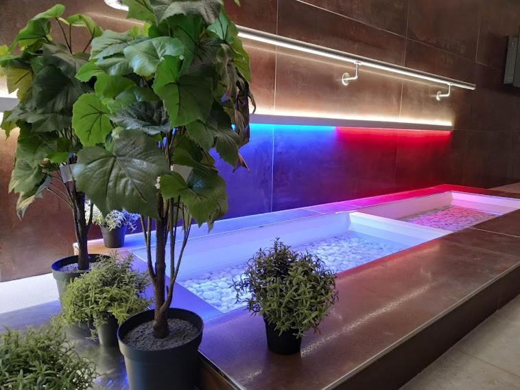 Anna Spa & Wellness Hotel Nejdek Eksteriør billede